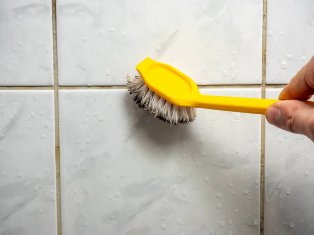 Best Professional Mold Removal  in North Liberty, IN