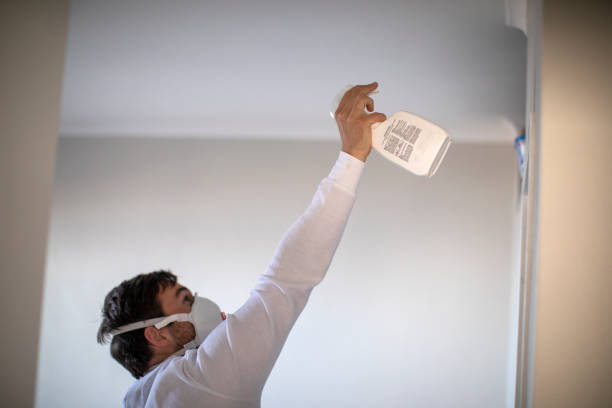 Best Toxic Mold Removal  in North Liberty, IN