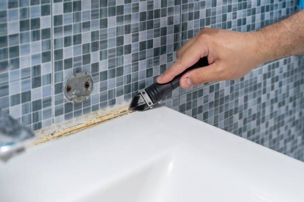 Best Residential Mold Removal  in North Liberty, IN