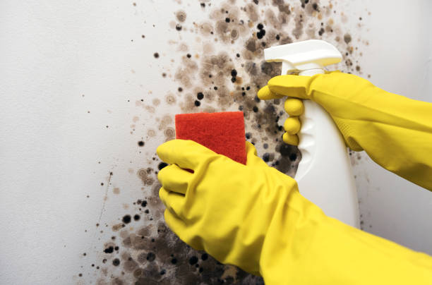 Water Damage Restoration in North Liberty, IN